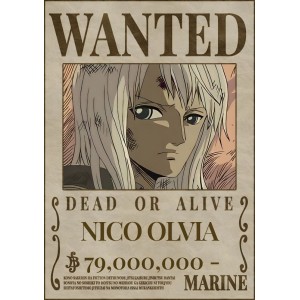 Placa Decorativa OnePiece Wanted Nico Olva